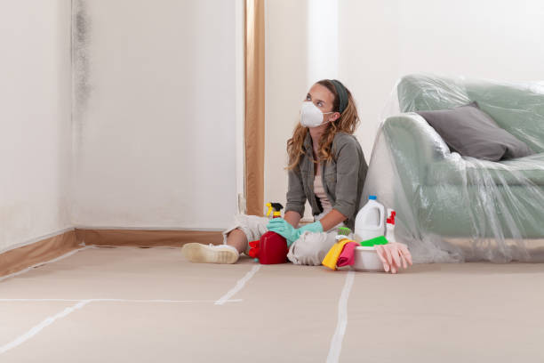 Trusted Crawl Space Mold Removal service in Ottsville, PA - Cheap Mold Removal