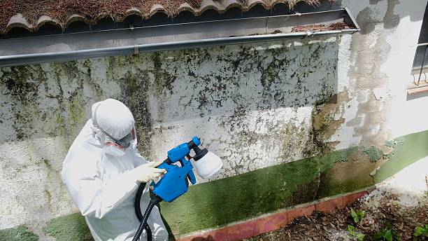 Top rated local Mold Remediation specialists in Ottsville, PA